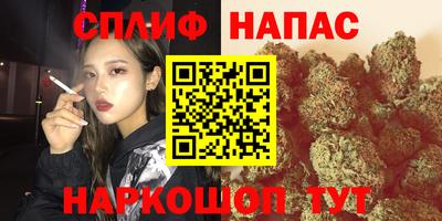 spice Будённовск
